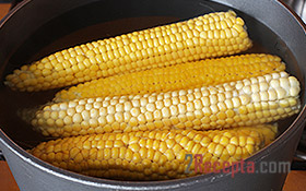 Как правильно заморозить кукурузу в зернах